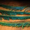 Hareline Dubbin, Inc. Peacock Swords Fly Tying